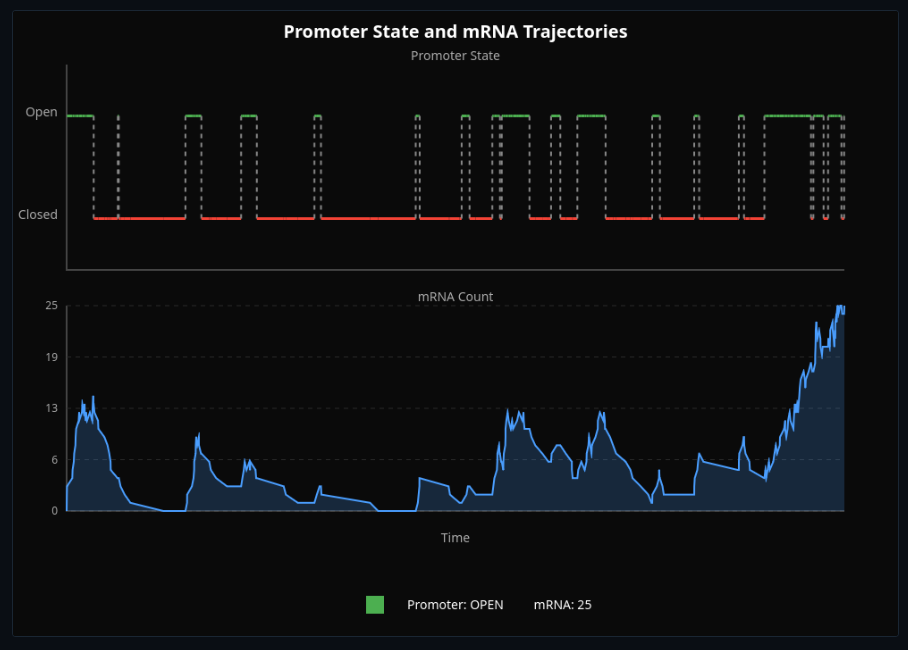 Chromatin State & Transcriptional Bursting