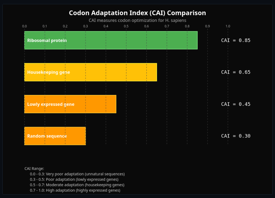 Codon Usage Bias & tRNA Adaptation