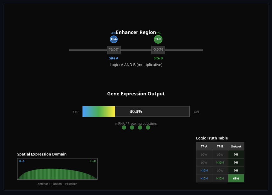 Enhancer Logic & TF Combinatorics