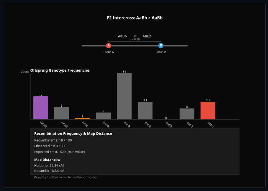 Genetic Linkage Map Builder