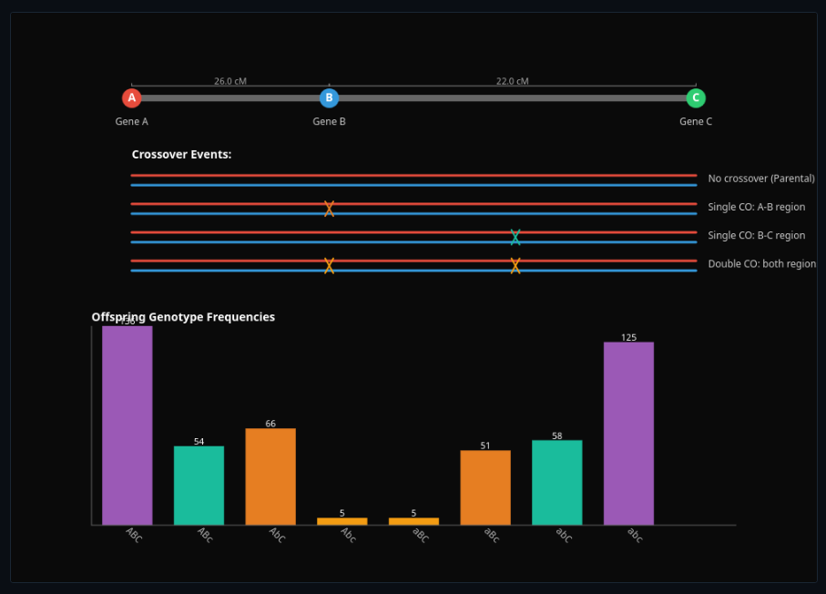 Genetic Linkage & Recombination