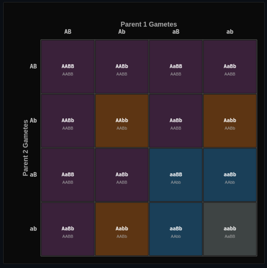 Mendelian Genetics Sandbox