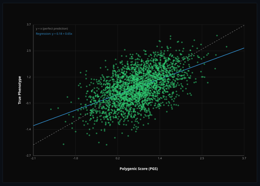 Polygenic Score