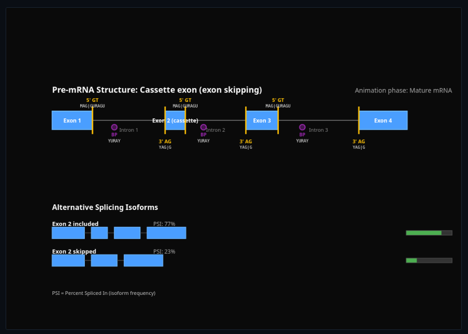 Alternative Splicing Simulator