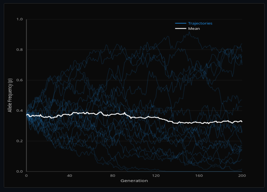 Wright-Fisher Genetic Drift
